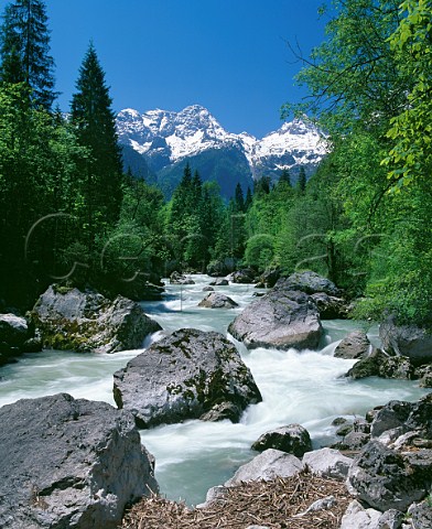 Mountain stream Salzburgerland Austria
