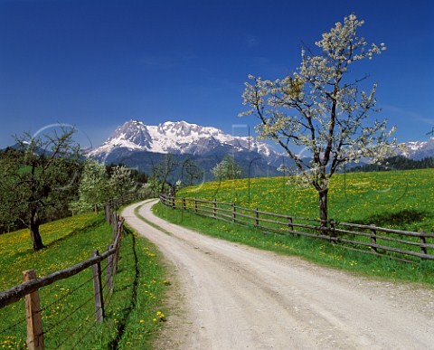 View to Hochkonig Mountain in spring Salzburgerland Austria