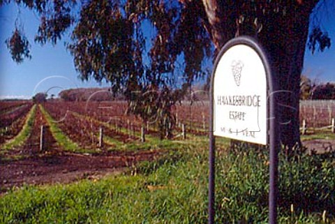 Sign and vineyard of Hawkesbridge   Estate Marlborough New Zealand