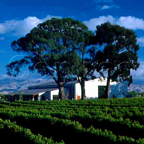 Selaks winery and vineyard Rapaura New Zealand  Marlborough