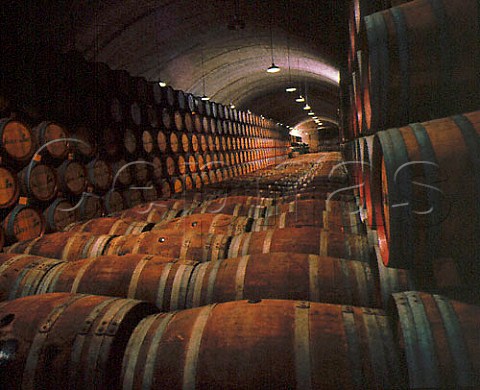 Barrel maturation cellars at Senorio de Los Llanos   Valdepeas  Spain