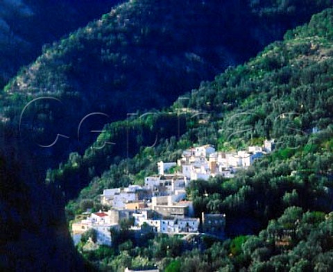 Village of Izbor in the Sierra Nevada south of   Granada Andalucia Spain