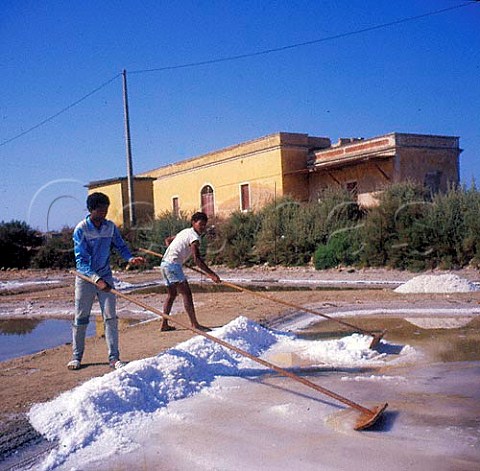 Raking sea salt from pans at Faro Algarve  Portugal