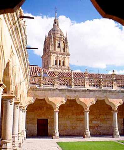 Cloister of Minor Schools with the Clerecia Tower   behind Salamanca University Spain