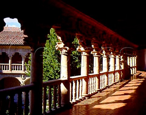 Cloister in the convent of Las Duenas Salamanca   Spain