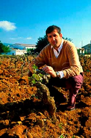 Rose Ferrer of Bodega Franja Roja Jose   Ferrer in vineyard at Binissalem   Majorca