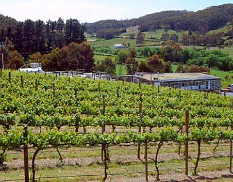 Tapanappa winery and vineyard  Piccadilly Valley South Australia Adelaide Hills