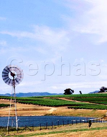Wind pump by dam amidst the vineyards of Montrose   Wines Mudgee New South Wales Australia
