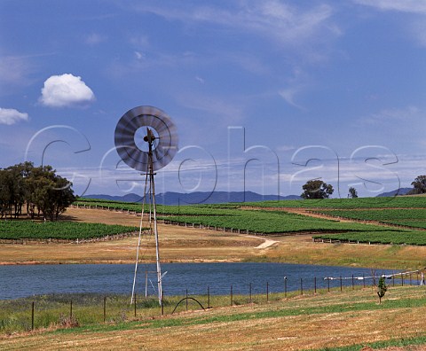 Windpump by dam amidst the vineyards of Montrose   Wines Mudgee New South Wales Australia   Mudgee
