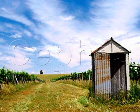 Corrugated iron convenience in vineyard of   Botobolar Mudgee New South Wales Australia