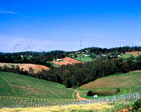 Lenswood Vineyards in the Adelaide Hills South Australia