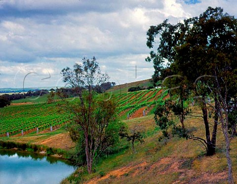 Montara Vineyards near Ararat Victoria Australia   Grampians