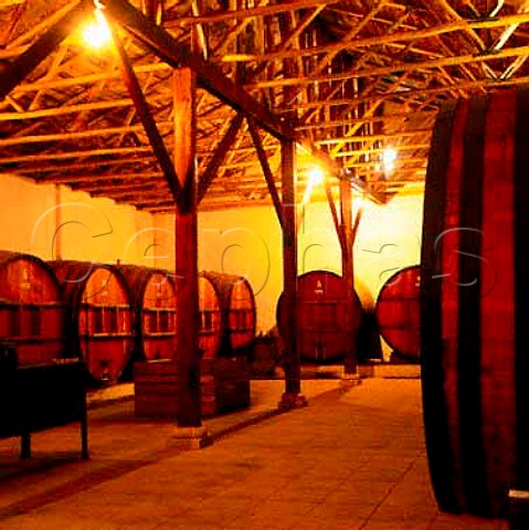 Rauli wood casks of Chateau Los Boldos Vina Santa   Amalia at Requenoia in the Rancagua region Chile