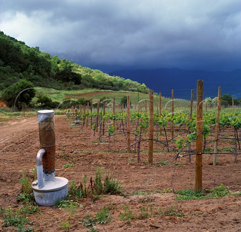 Antifrost oil burner in young vineyard Casablanca Valley Chile