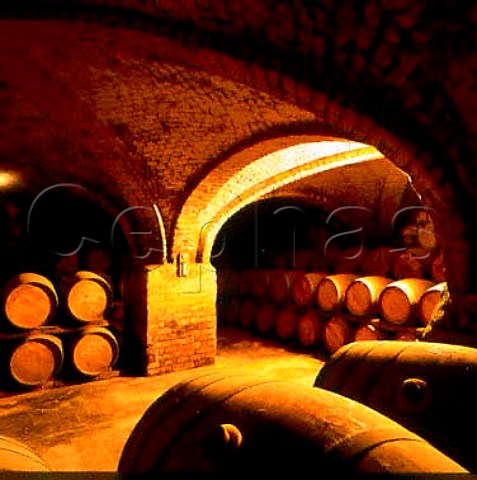 Barreiques in the old cellars of Via San Pedro   Molina Chile
