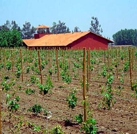 Vineyard and winery of Via Aquitania    at Macul near Santiago Chile  Maipo Valley