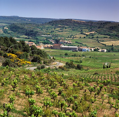 Vineyards around village of FelinesMinervois   Aude France Minervois