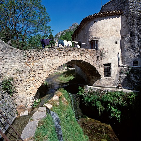 Old bridge in StGuilhemleDsert Hrault France   LanguedocRoussillon