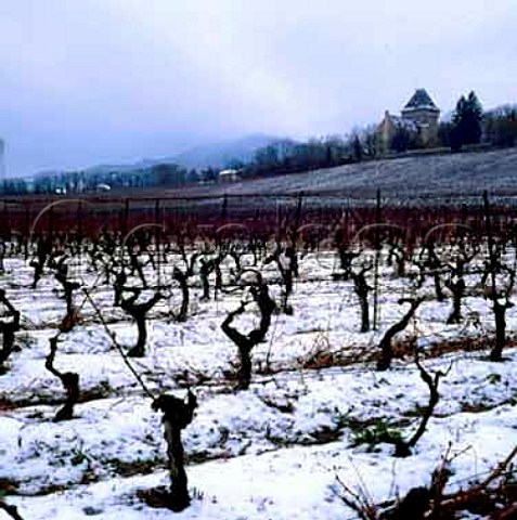 Snow in vineyards of Domaine de Villy   Vall de lArve HauteSavoie France   Vin de Pays dAllobrogie