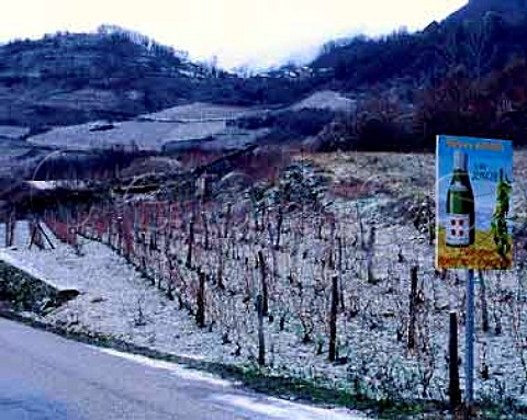 Wine sign next to snow covered vineyard at Jongieux   Savoie France AC Vin de SavoieJongieux