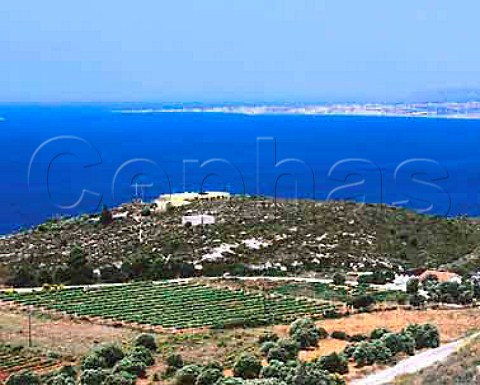 Gentilini vineyard and winery near Argostoli   Cephalonia Ionian Islands Greece