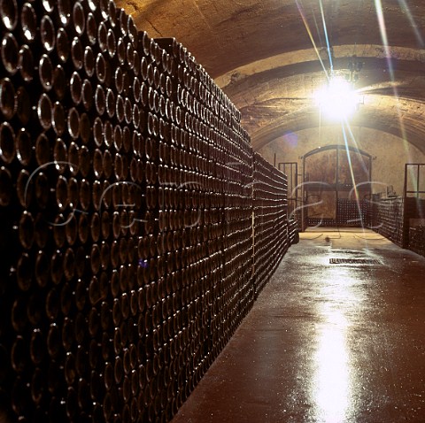 Maturing bottles in cellars of Weingut Max Ferd  Richter  Mulheim Germany  Mosel