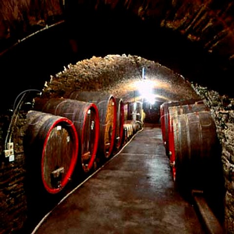 Weingut Prinz zu SalmDalbergs cellar in Wallhausen   with traditional German oak casks  Nahe