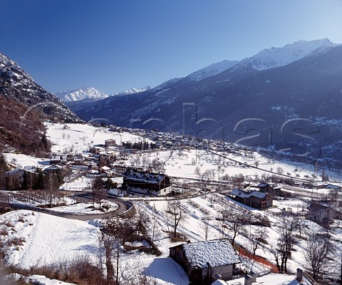 Snow covering the villages of Morgex and La Salle the vines here some of the highest in Europe are trained on low pergolas Valle dAosta Italy Blanc de Morgex et de la Salle