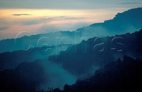 Mist at dusk over the forests of the   Cameron Highlands Malaysia