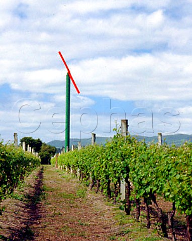 Antifrost wind machine in vineyard of Palliser   Estate Martinborough New Zealand   Wairarapa
