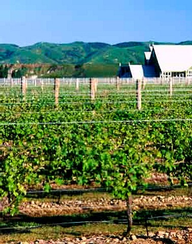 Te Kairanga vineyard and winery Martinborough New   Zealand Wairarapa