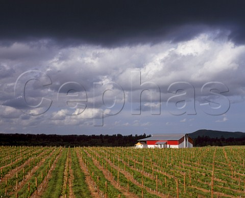 Kemblefield winery and vineyard Hastings   New Zealand  Hawkes Bay