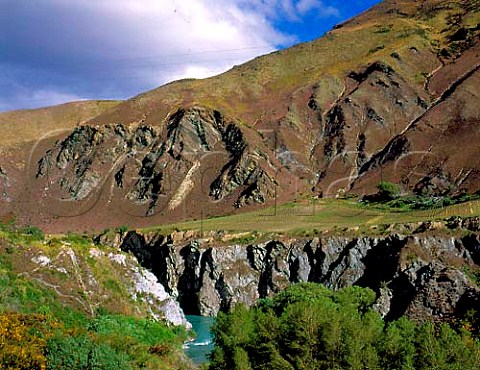 Chard Farm vineyard above the Kawarau River near   Queenstown Central Otago New Zealand