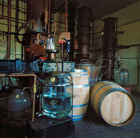2 stills called Josephine and Fifi in distillery of Somerset Cider Brandy Co Kingsbury Episcopi Somerset England 