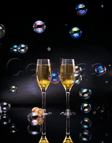 Flutes of Sparkling Wine with bubbles