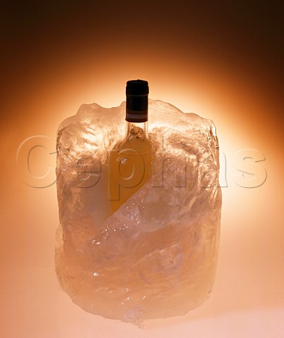 Bottle of wine in a block of ice