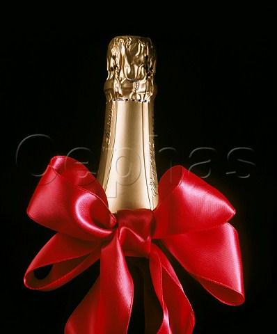 Bottle of Champagne with red ribbon around neck