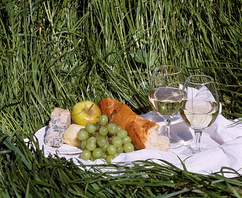 Summer picnic wine cheese bread fruit