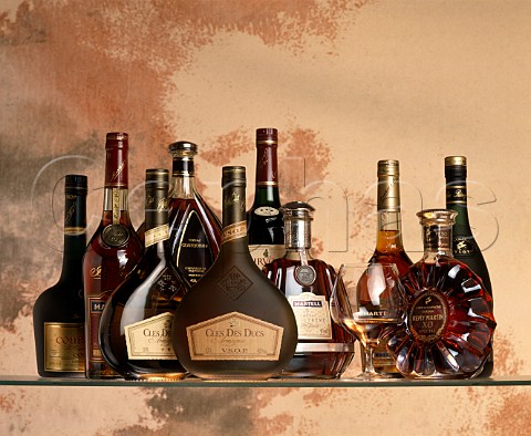 Bottles of Cognac and Armagnac