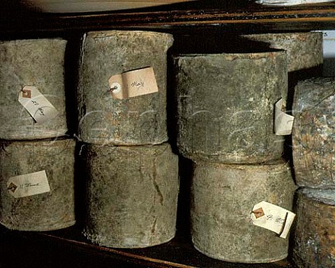 Traditional clothbound Cheddar cheeses on sale in   Neals Yard Dairy London