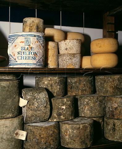 Selection of traditional British cheeses Neals Yard Dairy London England