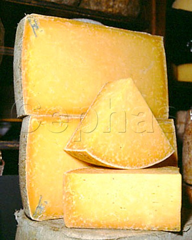 Applebys Double Gloucester cheese is made near   Whitchurch in Shropshire Here on sale at Neals Yard   Dairy London