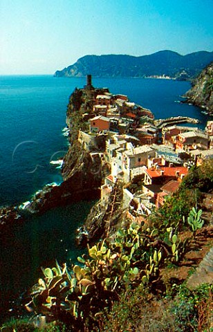 Vernazza Liguria Italy   Cinqueterre