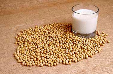 Soya beans and soya milk