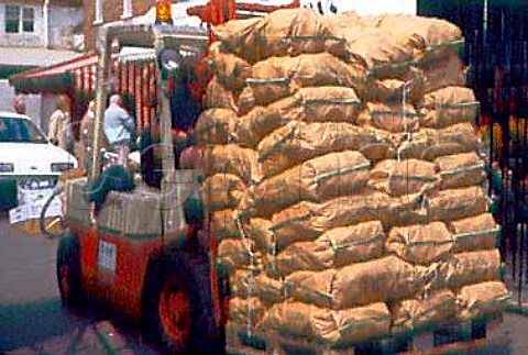 Sacks of potatoes being moved on a forklift truck  Brighton market