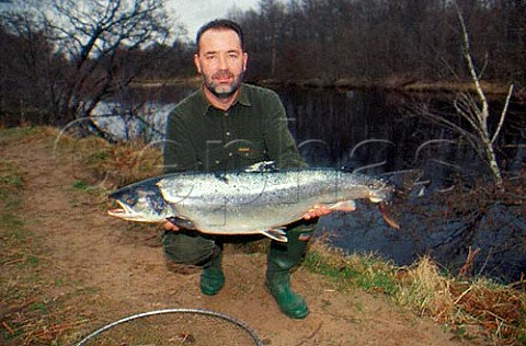 10kg salmon caught on River Spey  Scotland