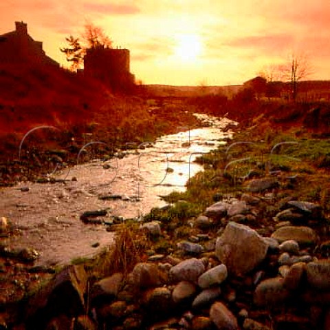 Typical burn stream which runs through a Scottish   distillery This is the AlltnaFrith which runs   through Tomatin Distillery at Tomatin   Invernessshire Scotland