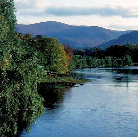 River Spey and the Cairngorms Aviemore Scotland  Highland