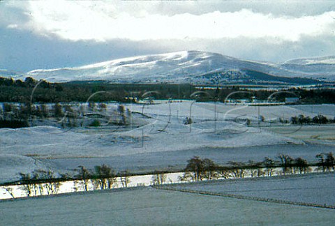 Looking across snow covered Spey Valley   Scotland