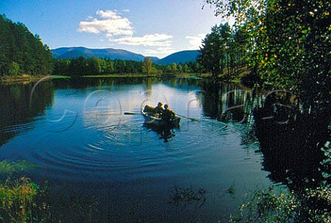 Trout fishing on loch with Cairngorm   Mountains beyond Rothiemurcus Estate   near Aviemore Scotland